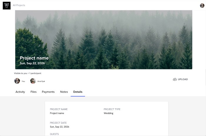 The old client portal: a single page with a generic forest cover photo, the project name and date, participant avatars, and a row of tabs (Activity, Files, Payments, Notes, Details) over a plain details card. No branding, no navigation